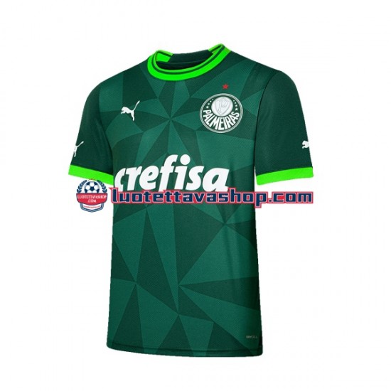 Miehet Palmeiras 2023-2024 Lyhythihainen Fanipaita ,Koti