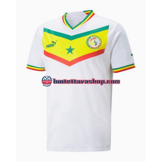 Miehet Senegal World Cup 2022 Lyhythihainen Fanipaita ,Koti